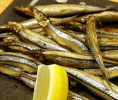 きびなごの一夜ぼし