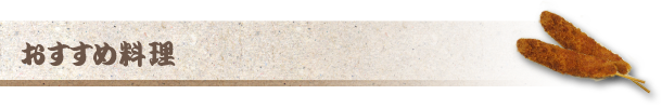 おすすめ料理